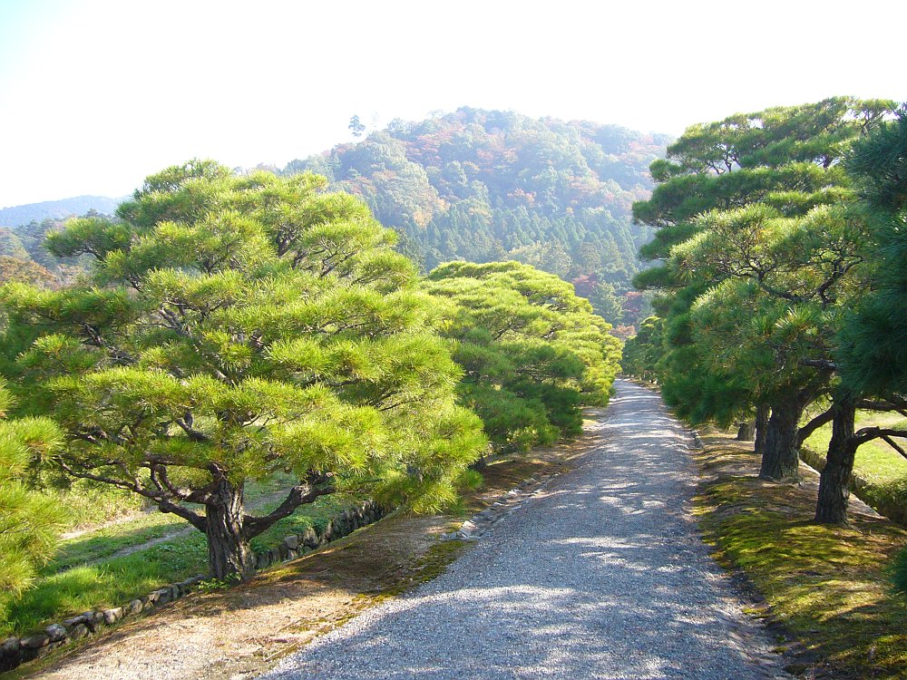 Anna Maija Ala-Härkönen: Japani 2010