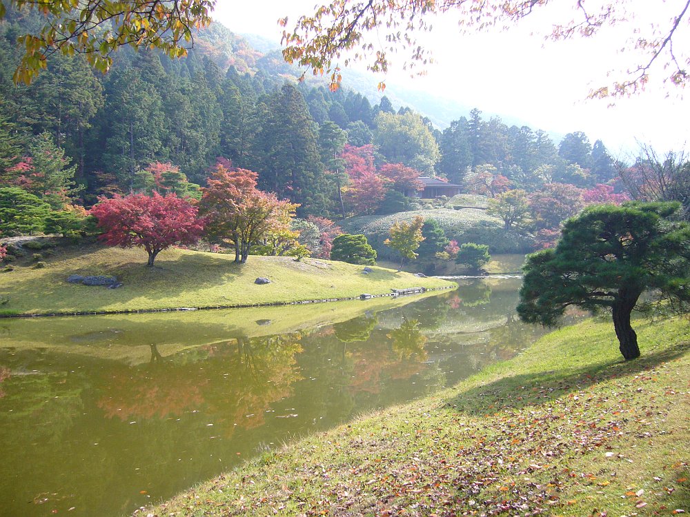 Anna Maija Ala-Härkönen: Japani 2010