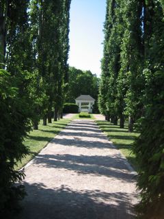 Hanna Sorsa: Kultaranta