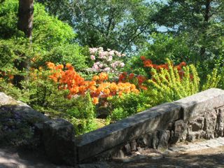 Hanna Sorsa: Kultaranta