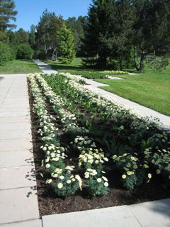 Hanna Sorsa: Kultaranta